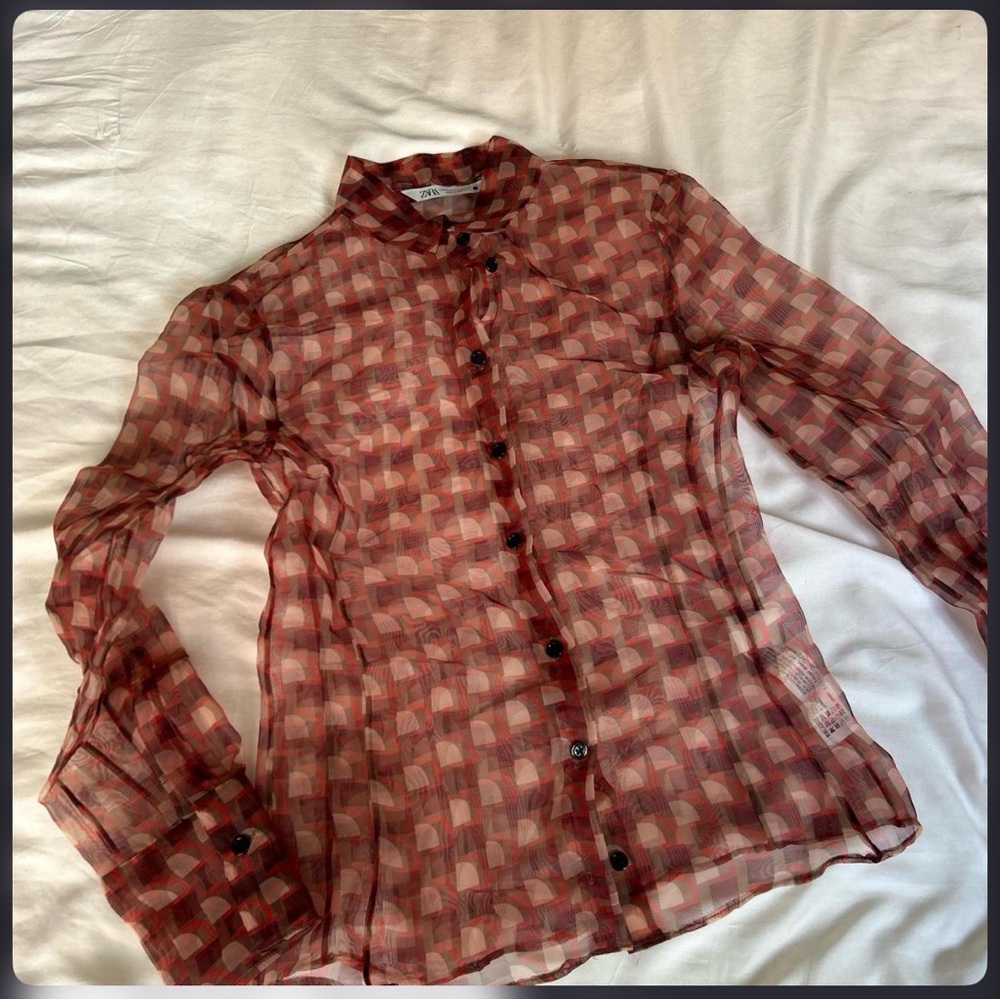 Zara Sheer top